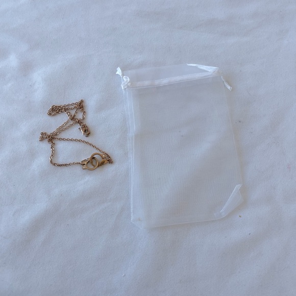 Necklace Rose Gold Plated Over Stainless Steel - Picture 5 of 7